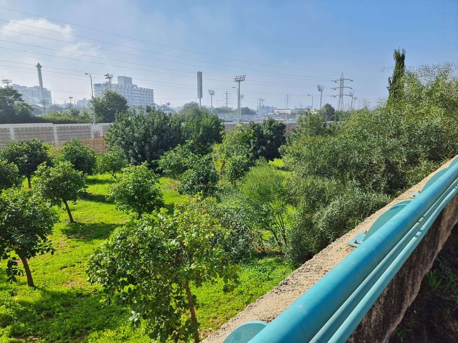 WhatsApp Image 2022-01-08 at 1.30.02 PM (1).jpeg